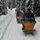 sleigh ride in Chocholowska